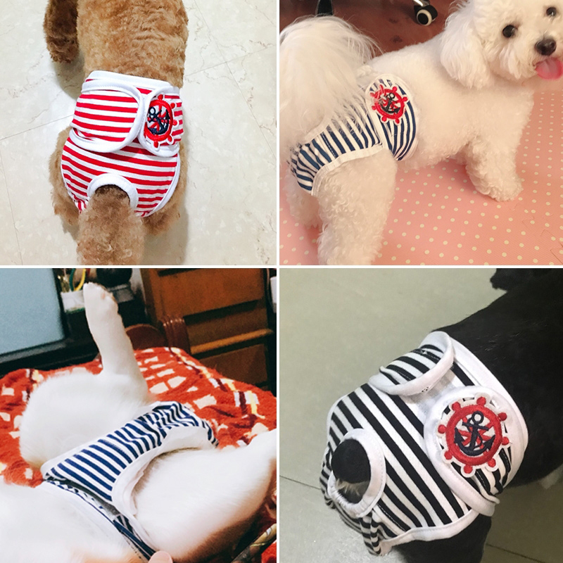 Couches pour chiens femelles, sous-vêtements menstruels, culotte pour chiens Tech de Terek, culottes hygiéniques réutilisables pour protection des chiens