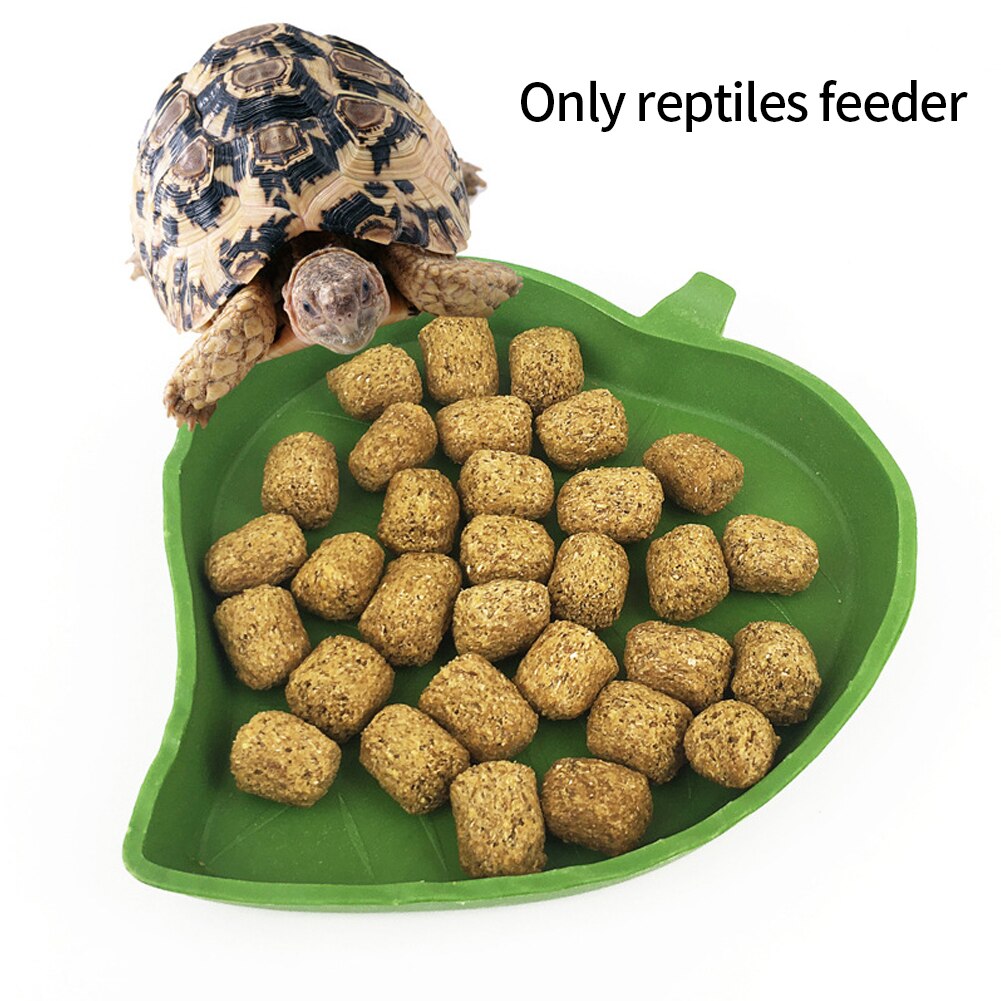 Tortuga serpiente, lagarto de la fuente de agua de alimentación de la cuenca forma de hoja, suministros para mascotas, comida Gecko curva de borde de plástico Reptiles alimentador