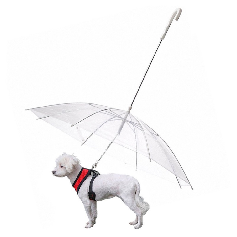 de paraguas para mascotas, material de lluvia para mascotas, paraguas impermeable para perros y gatos
