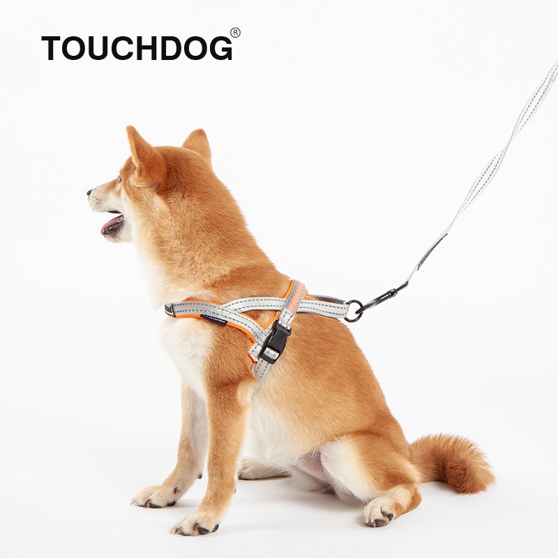 Touchdog koiran valjaat led valot koiran talutushihna heijastavat koiran kaulapannat valjaat koirille lemmikkitarvikkeet pienet keskisuuret koirat