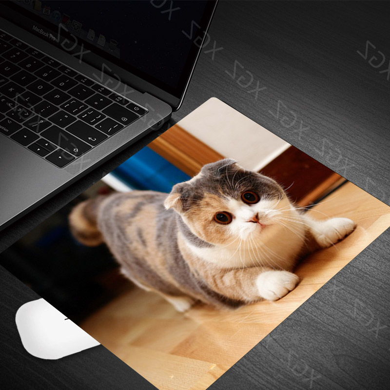 Yzuoan Cute Cat Kitten Animal Keyboard Game Notebook Mouse Pad Game Pad Mouse Desk Mat: 22x18-10