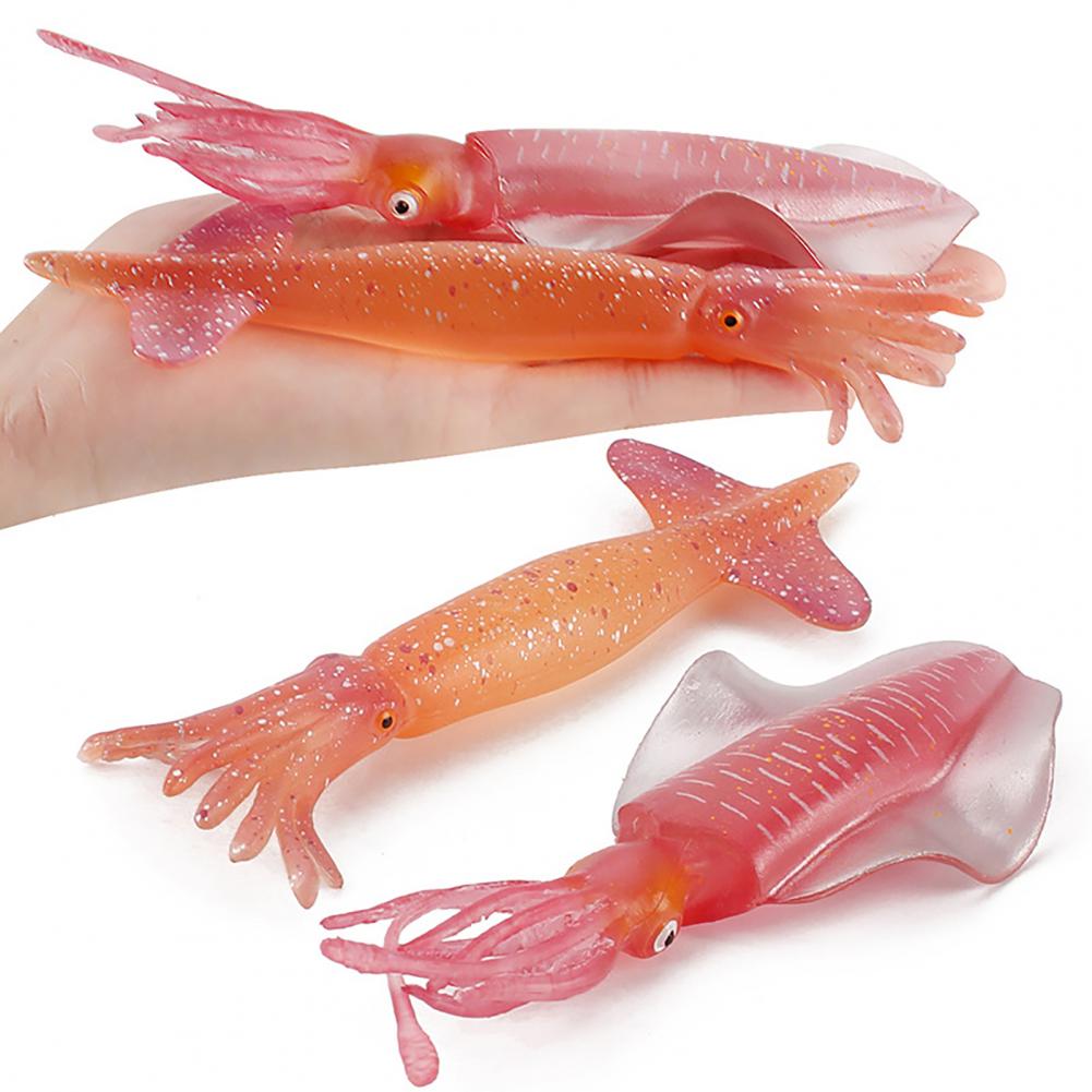 Mariene Leven Oceaan Zee Dieren Grouper Garnalen Inktvis Zeester Simulatie Ornament Simulatie Ornament Oceaan Zee Dieren