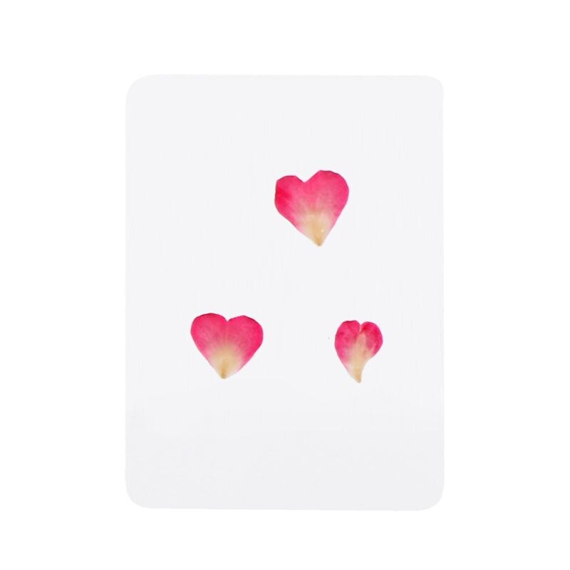 mischen Gedrückt Blume Blätter Pflanze Sonde Füllstoffe für Epoxid Harz Schmuck Machen