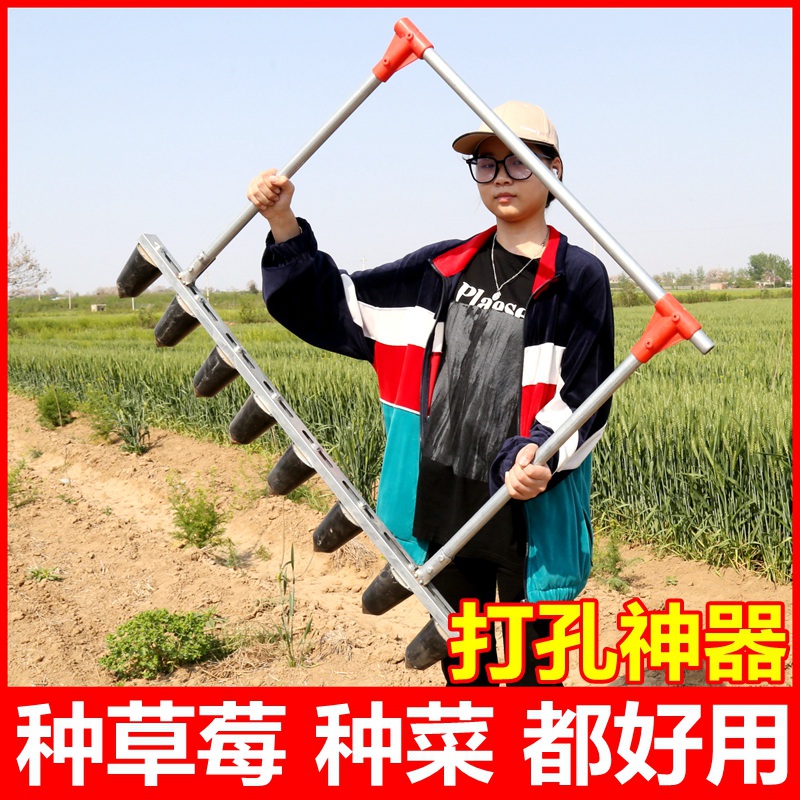 Planten Aardbei Artefact Ponsen Planten Ridge Verhogen Machine Landbouwwerktuigen Planten Groente Pit Puncher