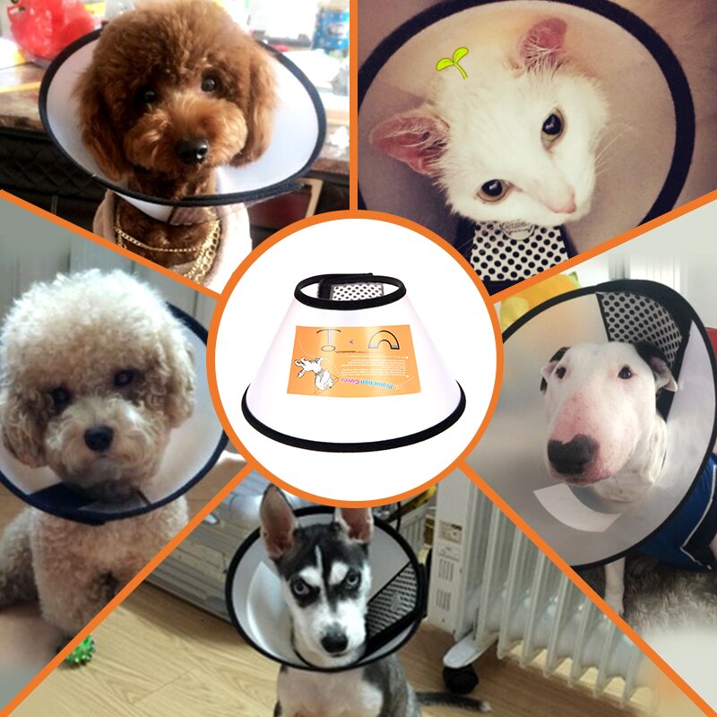 Collar de perro contra la mordida tamaño de los suministros para mascotas: 40-45cm,35-40cm,30-35cm,26-30cm,23-27cm,20-23cm