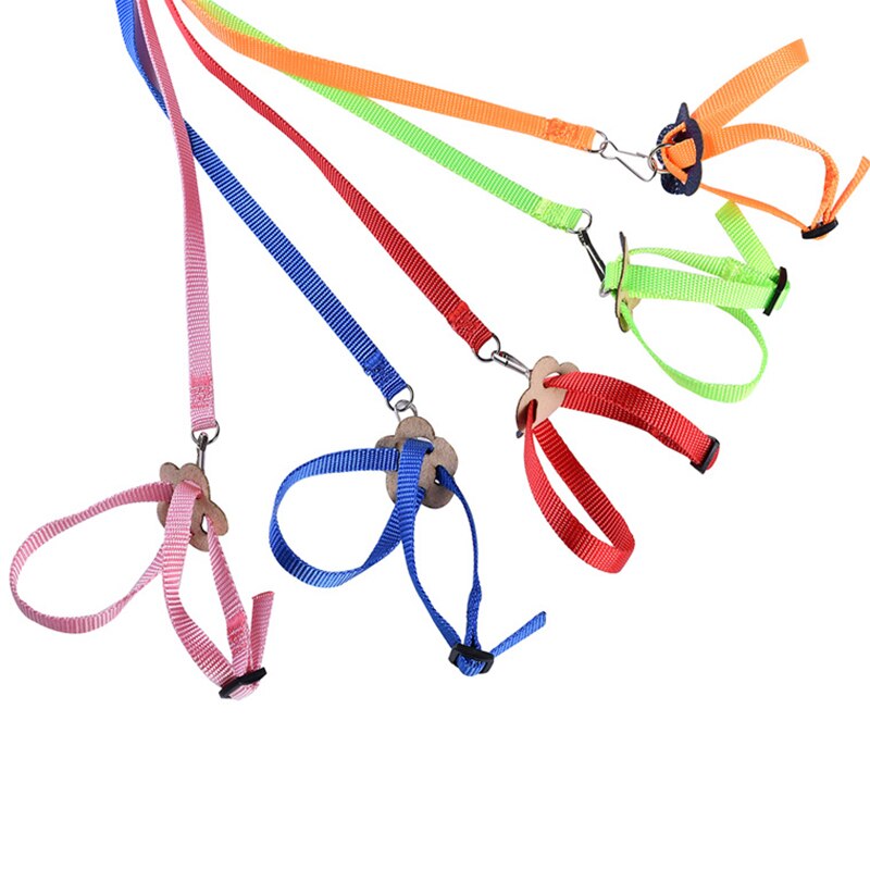 Ensemble harnais et laisse pour Hamster, réglable, pour la marche, pour petits animaux, Rat d&#39;inde, Chinchillas, corde, accessoires pour Hamster