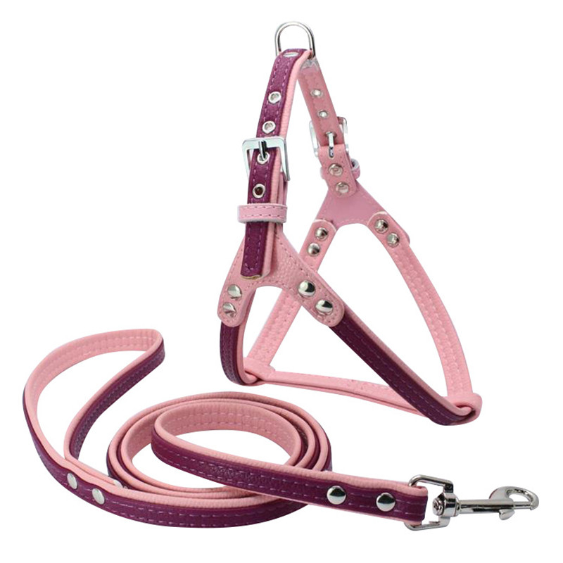 (5 stuks/partij) Hond Harnas Zachte Lederen Breakaway Kleine Medium Hond Pet Harnas Leash lead Set: Purple / M