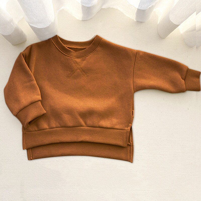 Herfst En Winter Baby Trui Plus Dik Fluwelen Katoenen T-shirt Tops Jongens Met Lange Mouwen Tops: Bruin / 12m