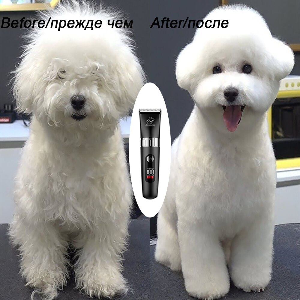 Baorun-cortadora de pelo para perros, máquina de afeitar eléctrica, resistente al agua, con pantalla LED, para animales, 110-240V