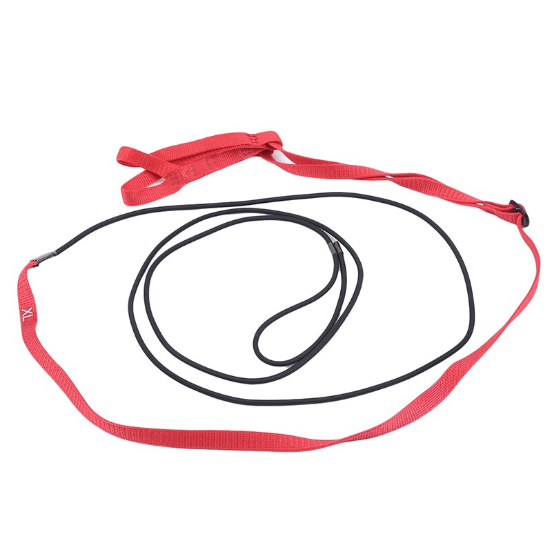 Anti-bite Flying Training Rope Parrot Bird Harness... – Vicedeal