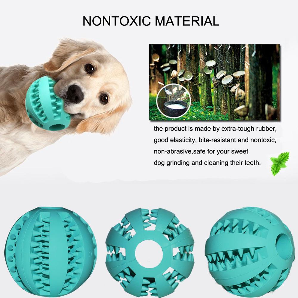 Natural Rubber Rottweiler Dog Toys