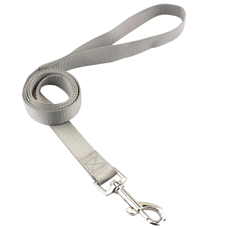 Klassiskt solid hundhalsband för hundar i nylon för små medelstora hundar kan matcha koppel och sele med snabbsnäppspänne: M 1.9cm / Grått koppel