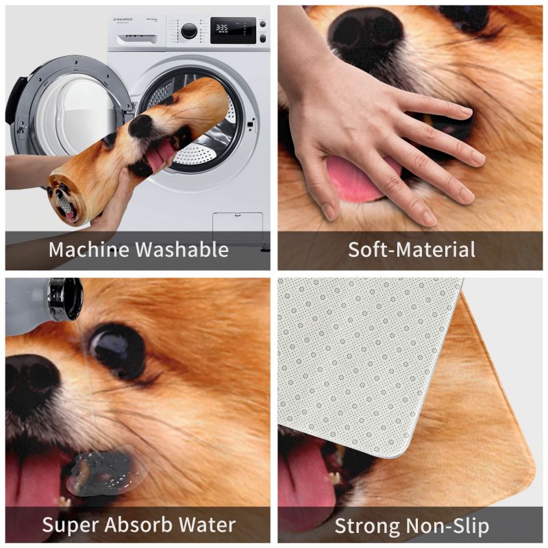 Pomeranian Welpe Bodentür Küche Badezimmer matt Anti-Rutsch draussen Spitz Pom Hund Fußmatt Garten Eingang Teppich Teppich Fußpolster