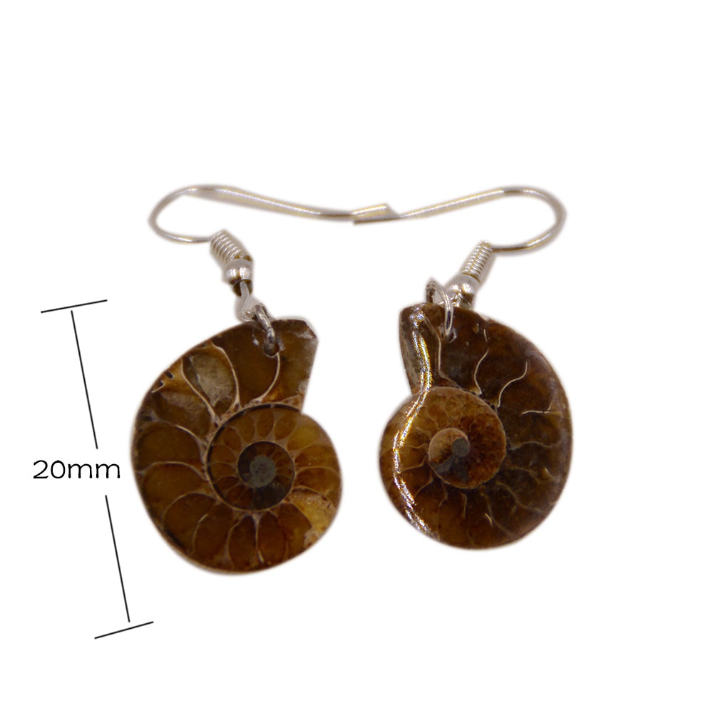 Natuurlijke Slak Ammoniet Spiraal Whorl Schelp Fossielen Kleur Dier Hanger Dangle Earrin Haak