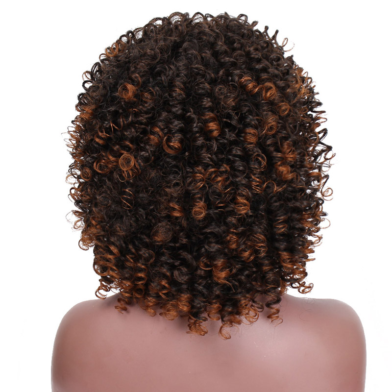 I's a wig Afro Kinky Curly Wig Short Black Synthetic Wigs with Bangs for Black Women Brown Natural Afro High Temperature Hair: T2-30
