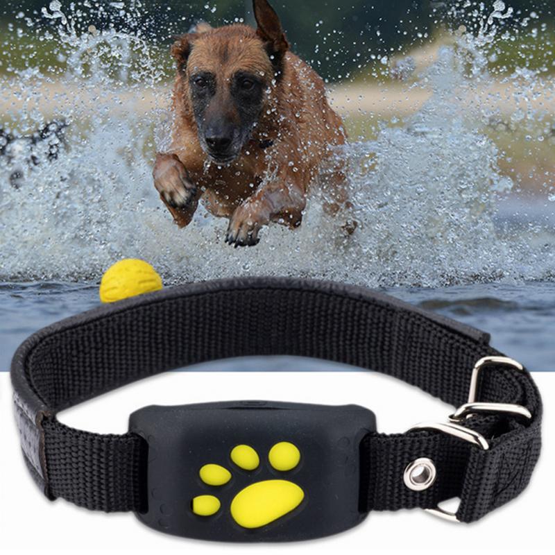 Localizador GPS inteligente a prueba de agua para mascotas, Collar rastreador para perros y gatos, collar ajustable, suministros para mascotas
