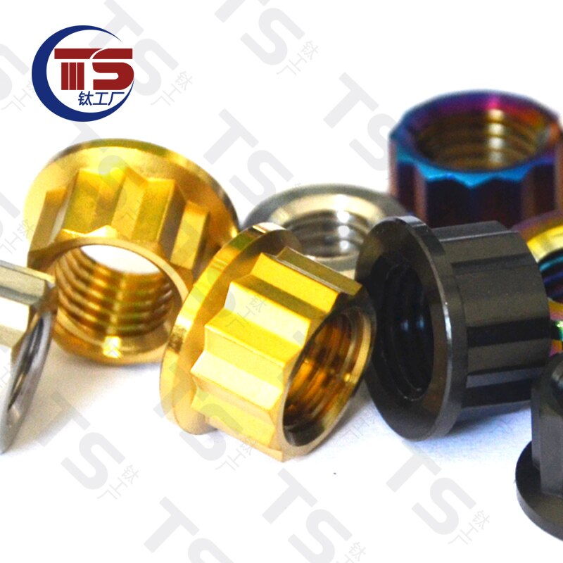 Vis à tête Torx en titane TS M8X15/20/25/30/35/40/45/50/55/60mm, pour moto, pièces de fourche de frein V, fixation en titane (1 pièce)