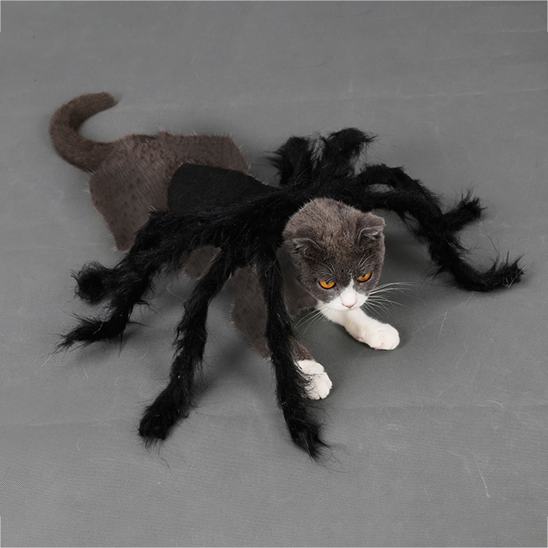 Kæledyr hunde tøj halloween edderkop cosplay kæledyr kostume til katte hund edderkop flagermus rollespil påklædning tøj til fest jul