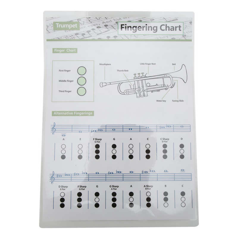 Trumpet Chord Chart Trumpets Note Guide Clear for Home: Size1