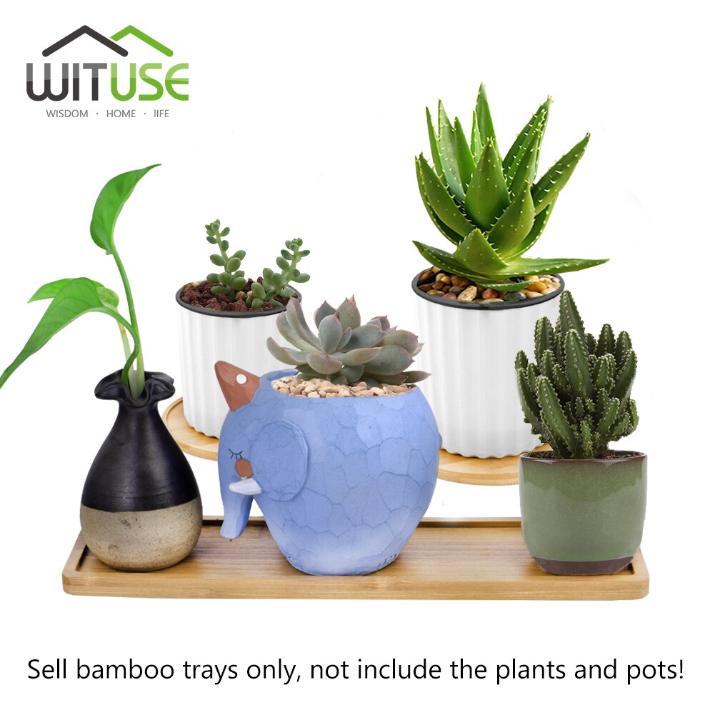 Växter kruka fat bonsai krukor bambu bricka söt blomma behållare keramik lådställ porslin suckulent