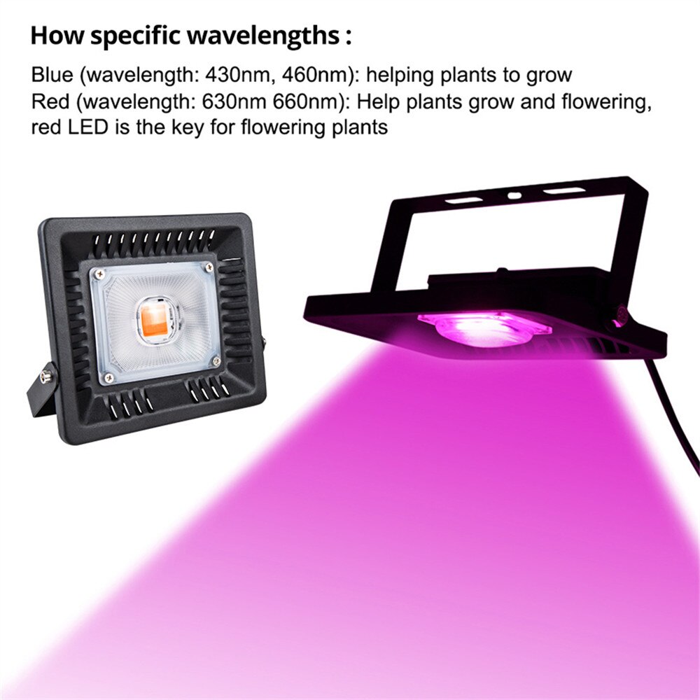 COB 50W 100W 200W 300W Led Grow Light Full Spectrum Ultra-Thin Waterproof IP67 Growing Lamp for Vegetable and Bloom Indoor Plant