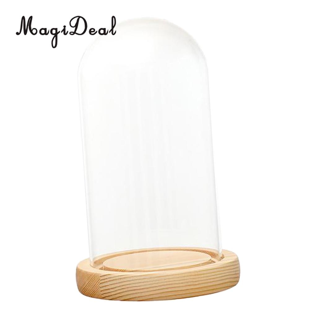 Desk Decor Glass Light Up Display Dome Cover Shade Shield With Wood Cork Home Decorations for Pub Bar Cafe