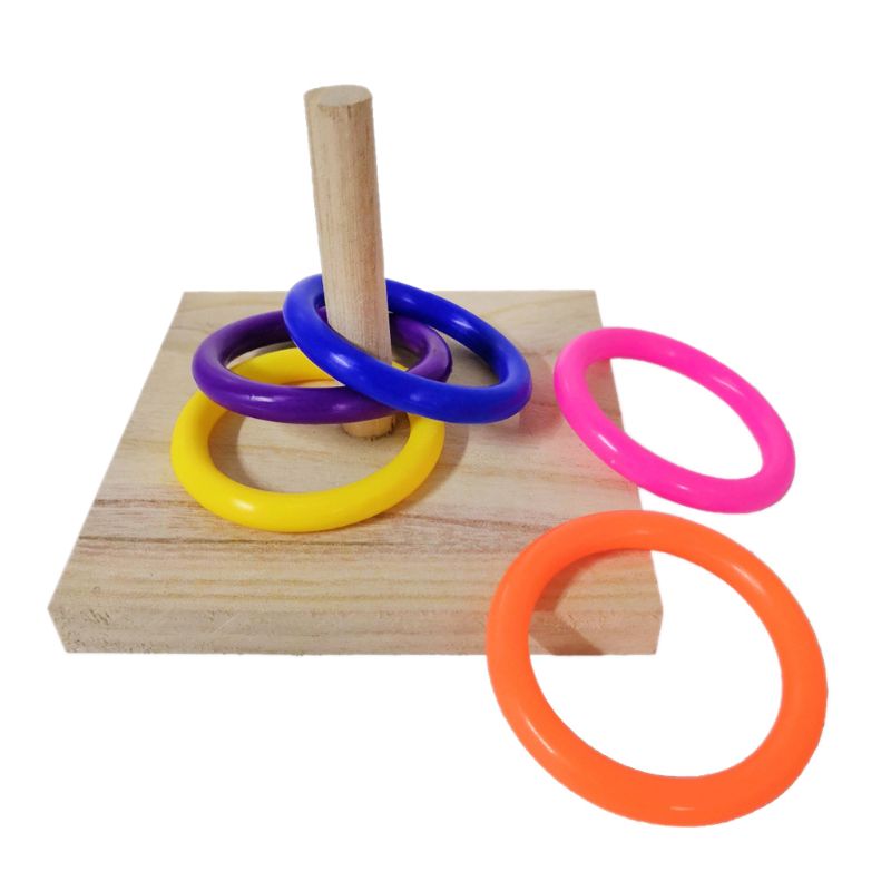 Bird Parrot Wooden Platform Plastic Ring Intelligence Training Chew Puzzle Toy: 2