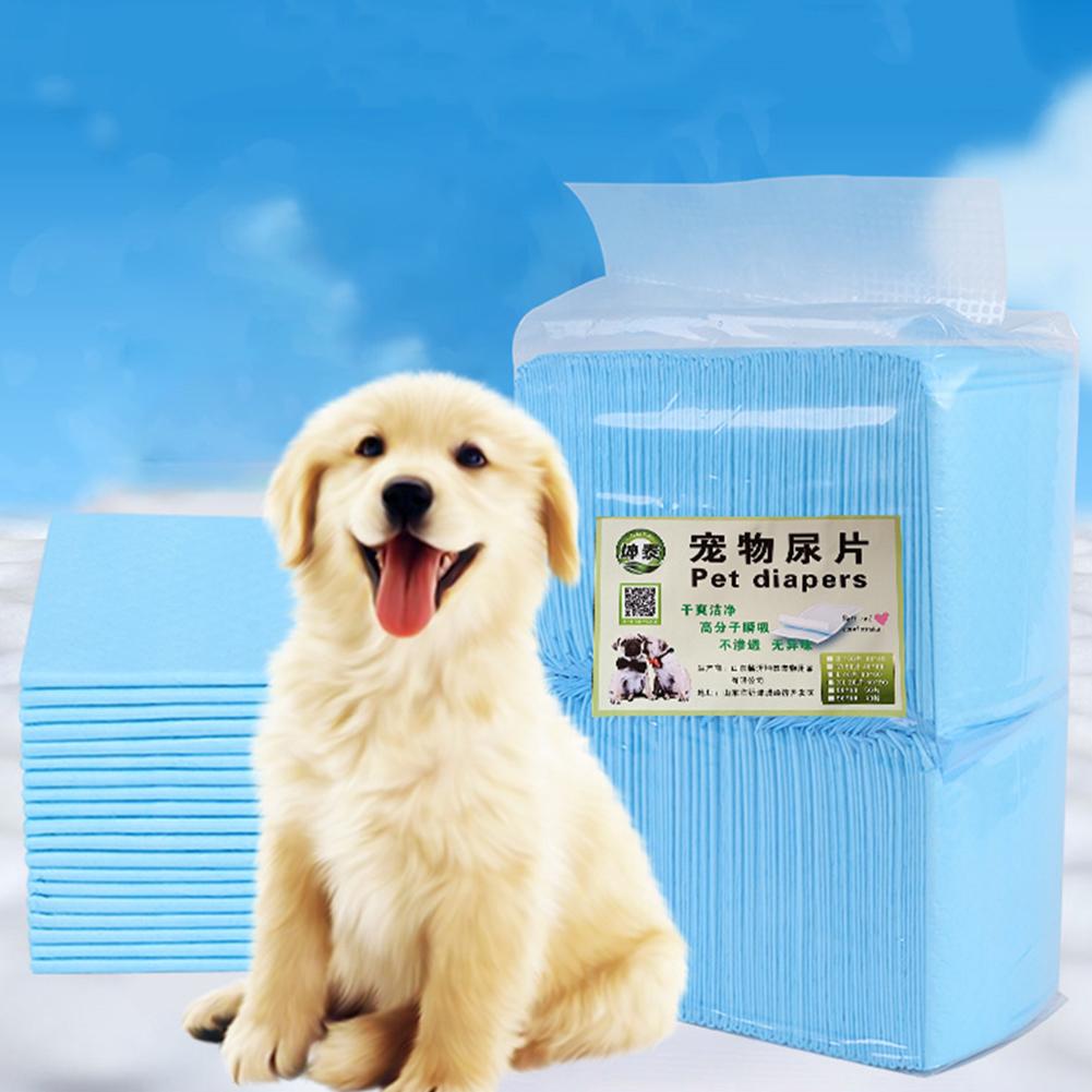 20/40/50/100 pièces absorbant chien pipi Pad tapis de formation de toilette couches de nettoyage jetables