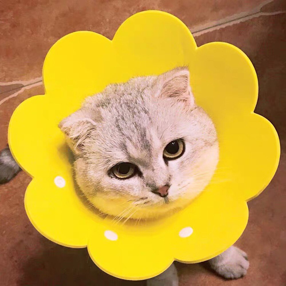 Lemmikit kissa elizabeth ympyrä kaulus puremisen esto lemmikkieläinten suoja palautuspantat pienille koirille kissat kukka sylki pyyhe kangas lemmikki sup