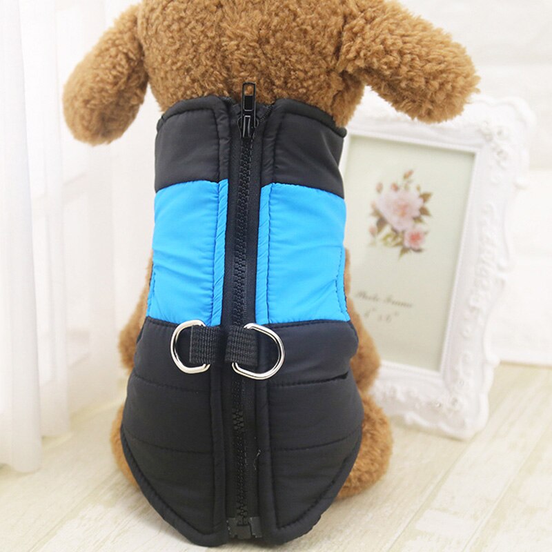 oben Neue Hundebekleidung Für Kleine Hunde Winter warm Welpe Chihuahua Hund Kleidung Wasserdichte Hunde Mantel Jacke XS-XL: Blau / XS