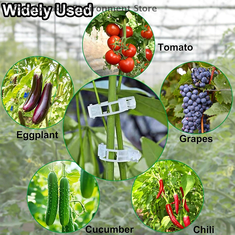 Novidades ~ 100 peças de braçadeiras para plantas, braçadeiras de plástico para plantas trepadeiras, braçadeiras de suporte para plantas reutilizáveis