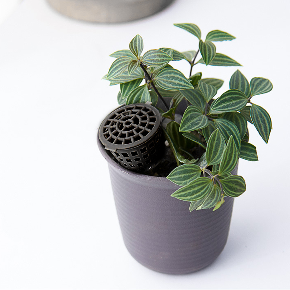 10-50PCS Fertilizer Basket with Lid Fertilizer Box Case Easily Carrying Part Bonsai Fertilizer Container Eco-friendly Tool