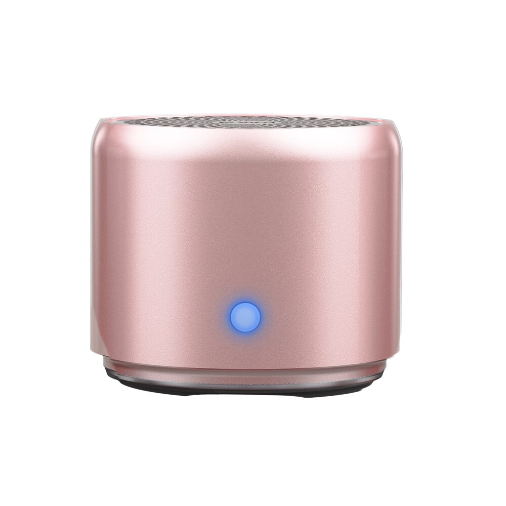 Ewa IP67 Buiten Waterdichte Luidspreker Draagbare Draadloze Bluetooth 5.0 Draagtas Bass Radiator Usb Btooth Speakers Metal: A106Pro-rose gold