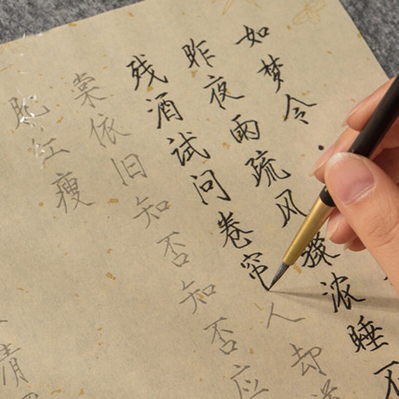 Livre de pratique de calligraphie chinoise pour débutants, écriture or mince Shou Jin Ti, papier riz, cœur Sutra &amp; mille caractères