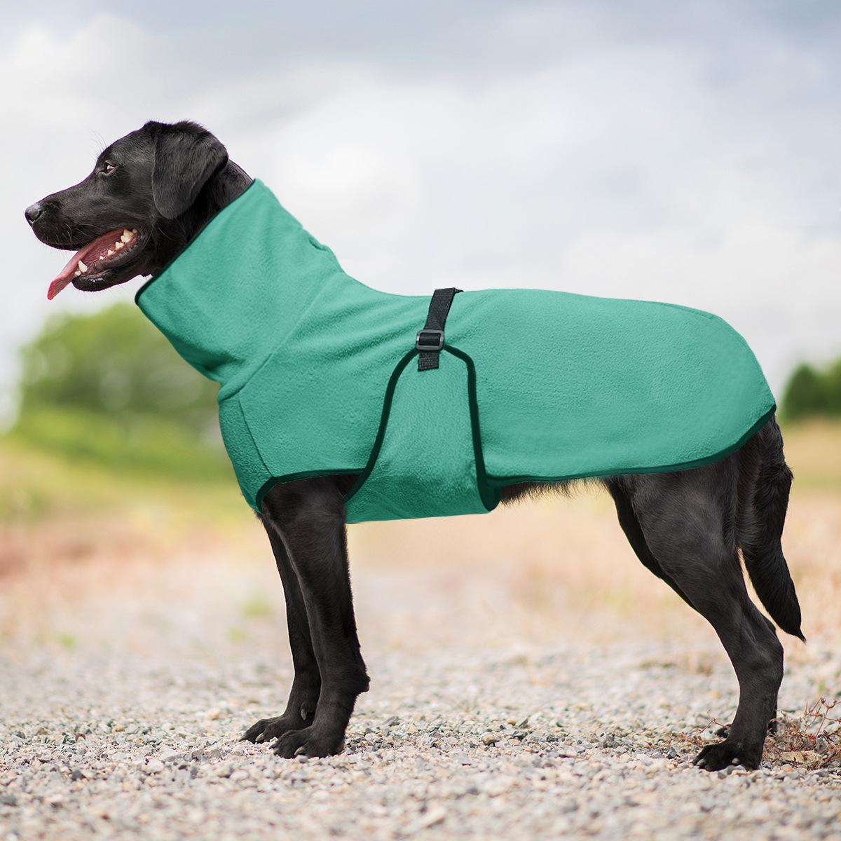 Kleidung für große Hunde, Winter, warm, Weste für große Hunde, Jacke, Mantel für Hunde, Windhund, Dobermann, Kleidung für mittelgroße und große Hunde: XXXL / Schwarz