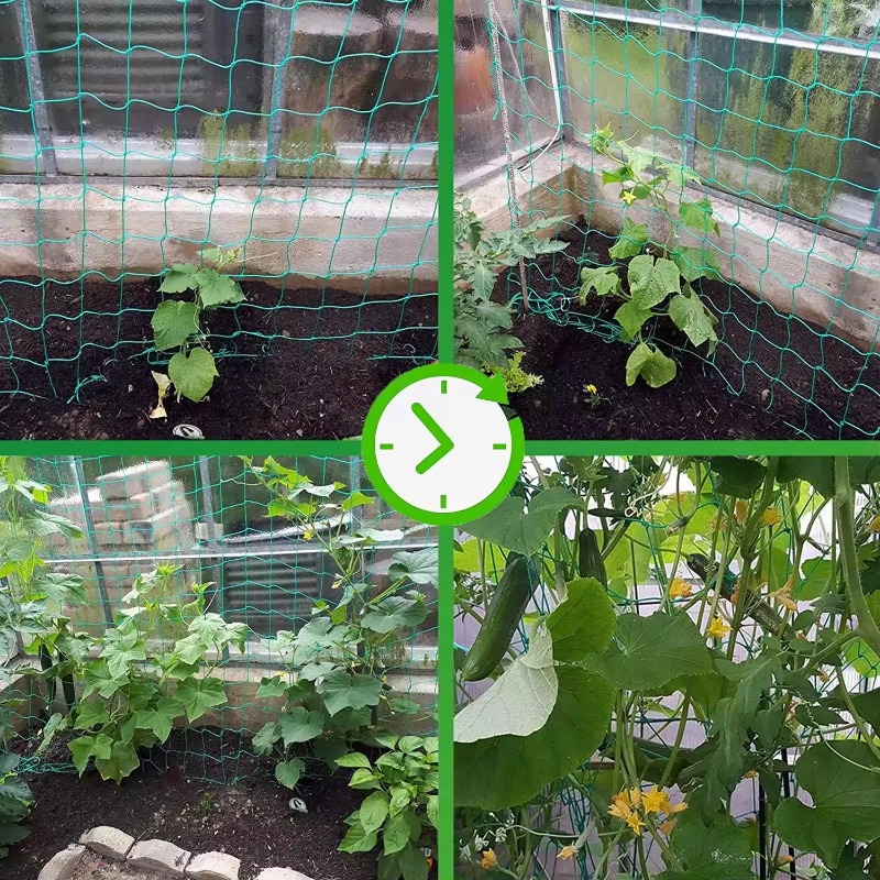 Hochwertiges Garten klettern etz Starkes Nylon-Pflanzen gitter zum Klettern von Pflanzen Luffa Winde Blumen Gurken rebe