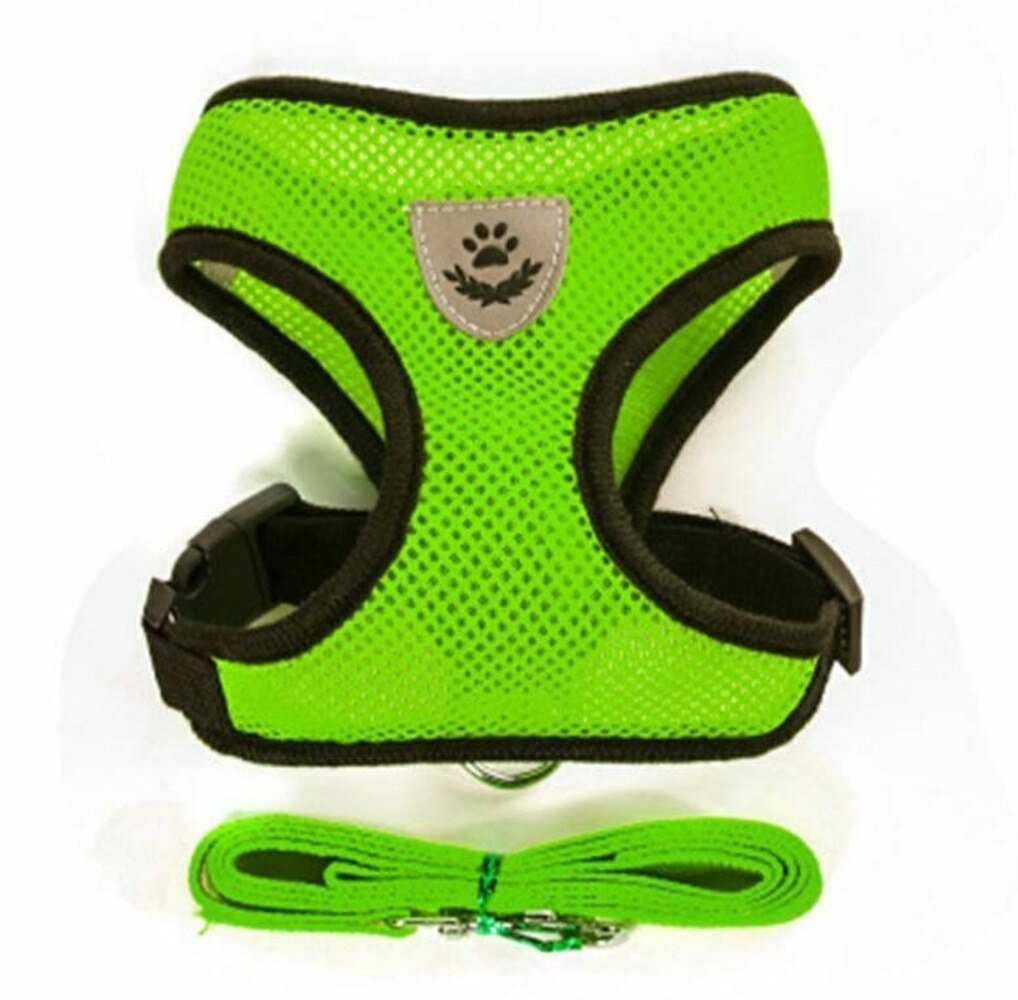 Photo inspiration: Mesh And Nylon Cat Harness And Leash Reference: Nylon Mesh Cat Harness And Leash Breathable Kitten