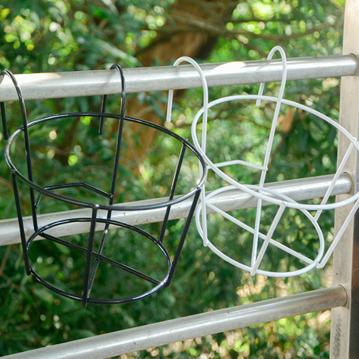 Mur en pot de plantes vertes charnues, balcon fleur T1, conflicence terrasse garde-corps stockage fer T1