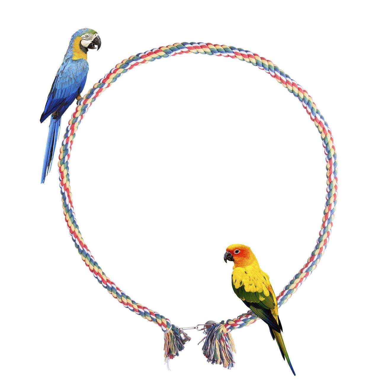 Fugl farverig spiral bomuld reb aborre papegøje bungee bid legetøj med klokke til undulater parakit cockatiels conure lovebird finch