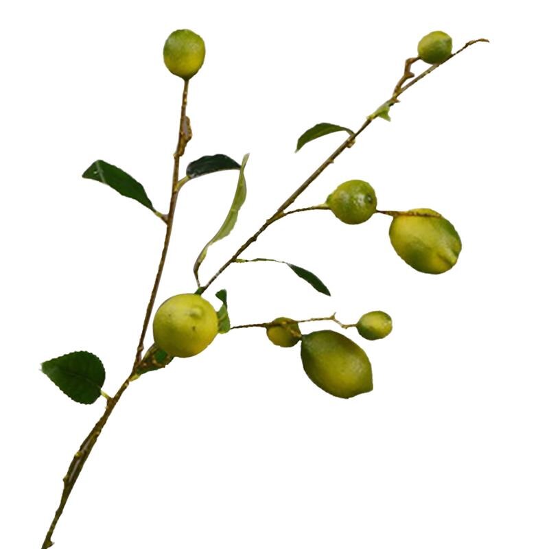 Artificial Lemon Branch Decorative Lifelike Faux Lemon Fruit Decor For Household Party Office Artificial Plants Accessories: Olive