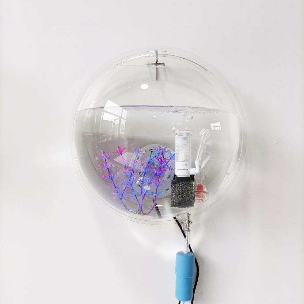 Acrylic Fish Bowl Wall-mounted Aquarium Fish Tank with Oxygen Device and Lighting Device Pet Products Betta fish