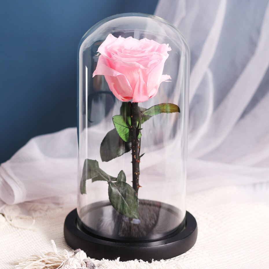 Torkade blommor konserverade rosor i glasskåpa med nattljus ornament bröllop alla hjärtans dag jul år heminredning: Rosa