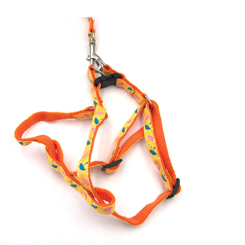 Bilayer-Collar con correas de nailon para perro, conjunto de arnés de correa de plomo para gato, chaleco para caminar, tren de plomo, ajustable y duradero