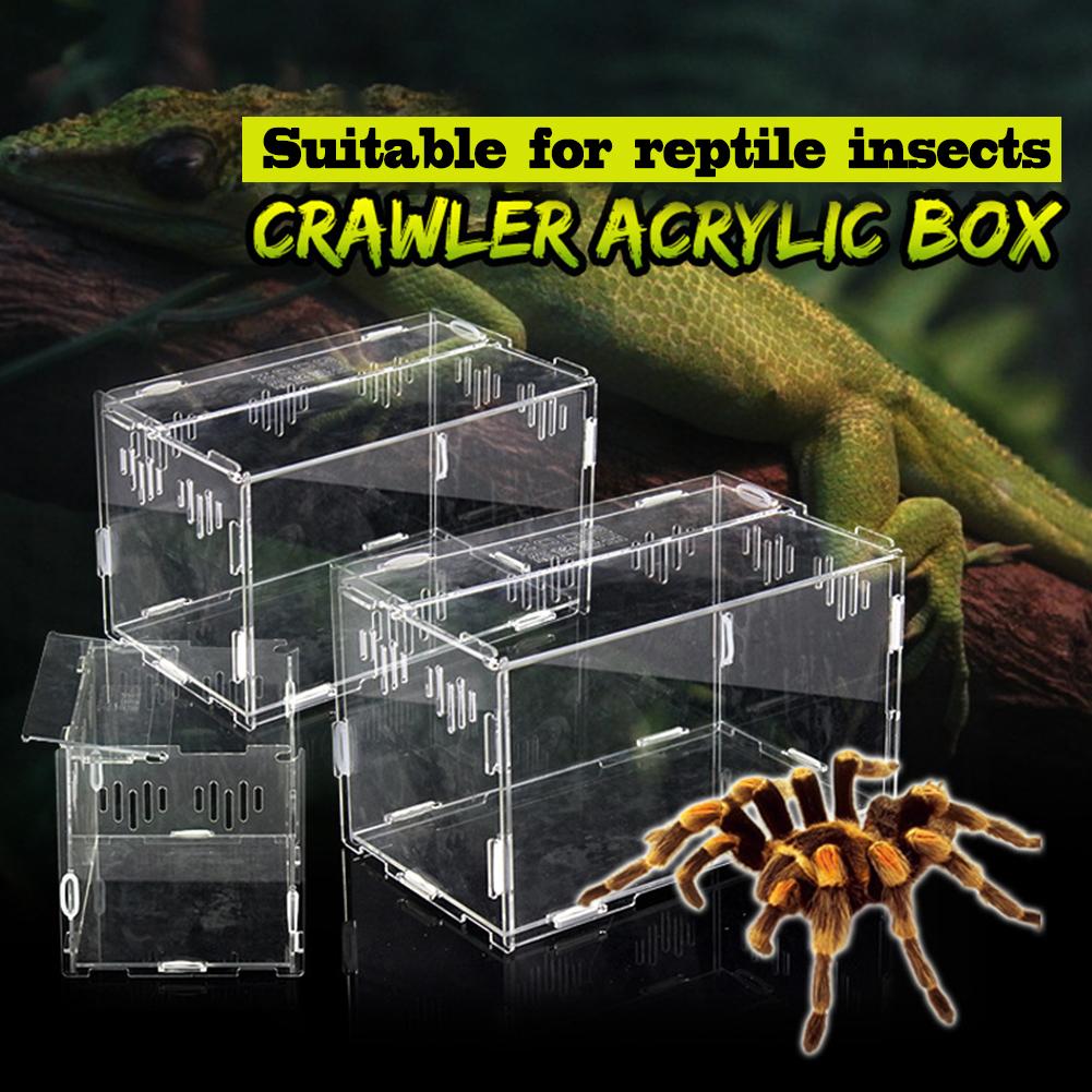 Latest Reptile Breeding Box Acrylic Transparent Sliding Cover Reptile Tank Insect Spiders Tortoise Lizard Feeding Box Terrarium