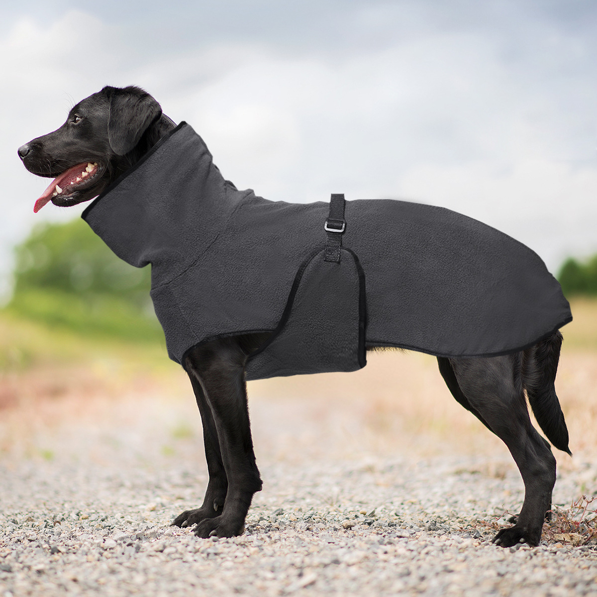 Winter Pet Dog Clothes Warm Big Dog Coat Puppy Clothing Pet Vest Jacket For Small Medium Large Dogs Golden Retriever: S / GRAY
