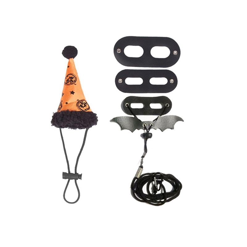 Lizard Halloween Costume Set Adjustable Leather Harness with Wing Leash &amp; Hat