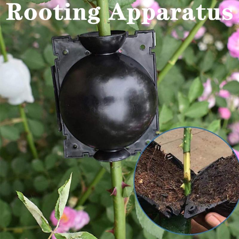 Sprzęt robić ukorzeniania roślin wysokociśnieniowa propagacja roślin piłka owocowa drzewo rosnące pudełko skrzynia hodowlana robić ogrodowego pudełka przeszczepu drzewko
