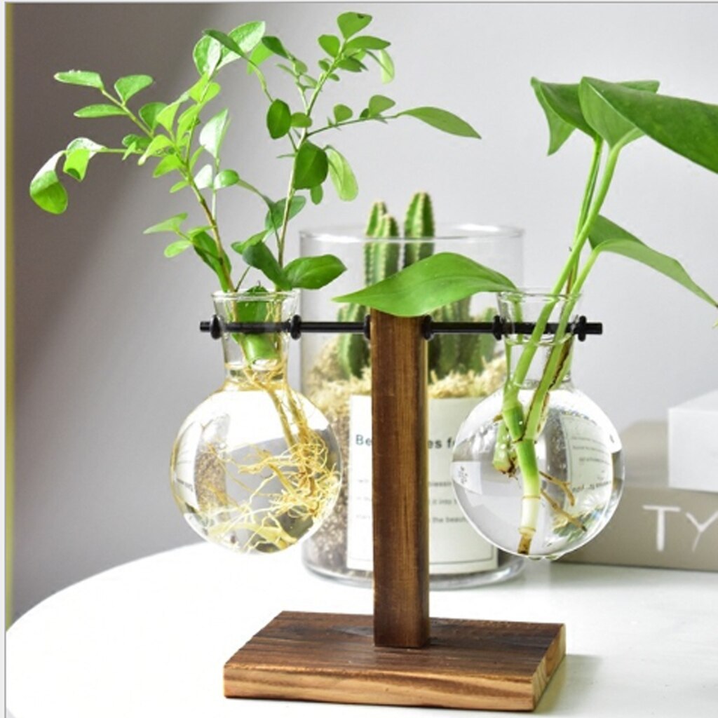 2 Vases Hydroponiques En Verre Avec Bouchon Liège - Station Propagation Plantes Décoration Table