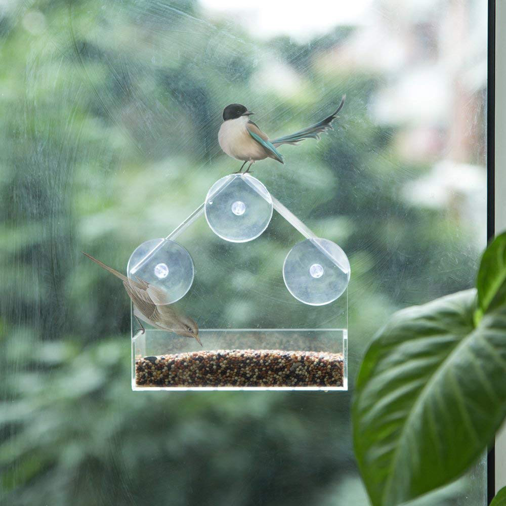 Alimentador de pájaros acrílico transparente, ventana de visualización, comederos, bandeja, casa de pájaros, montaje de ventosa de succión, tipo de casa