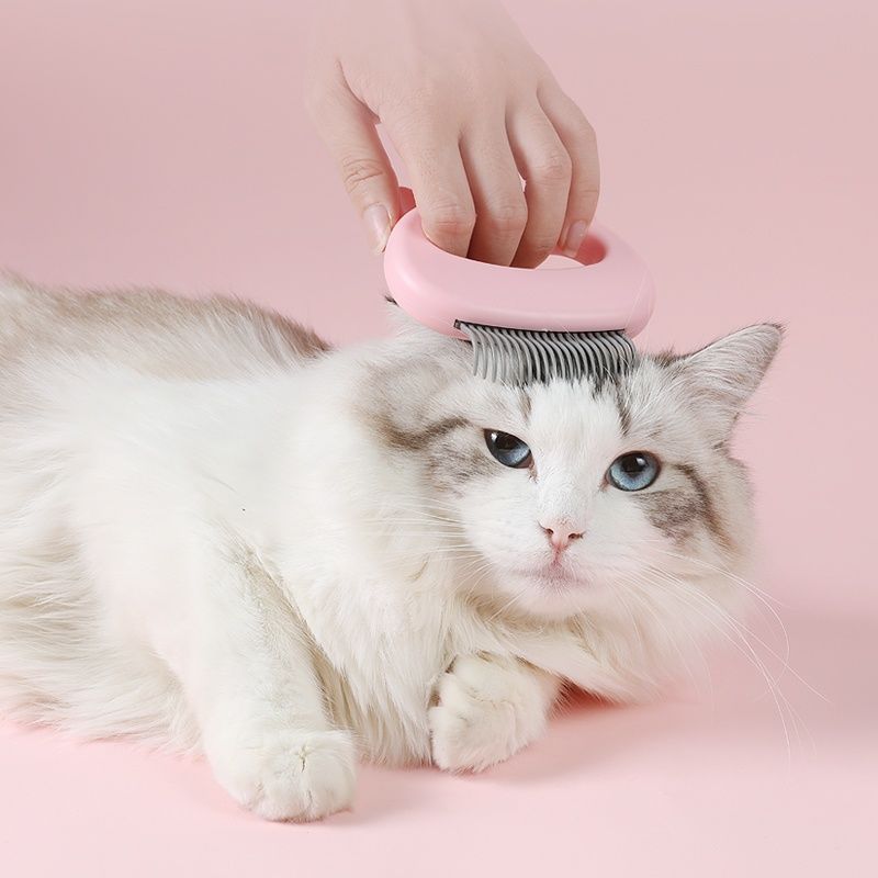 1 Pc Pet Kat Hond Massage Kam Shell Kam Grooming Ontharing Verlies Reinigingsborstel Multifunctionele Pet Grooming Hond Levert